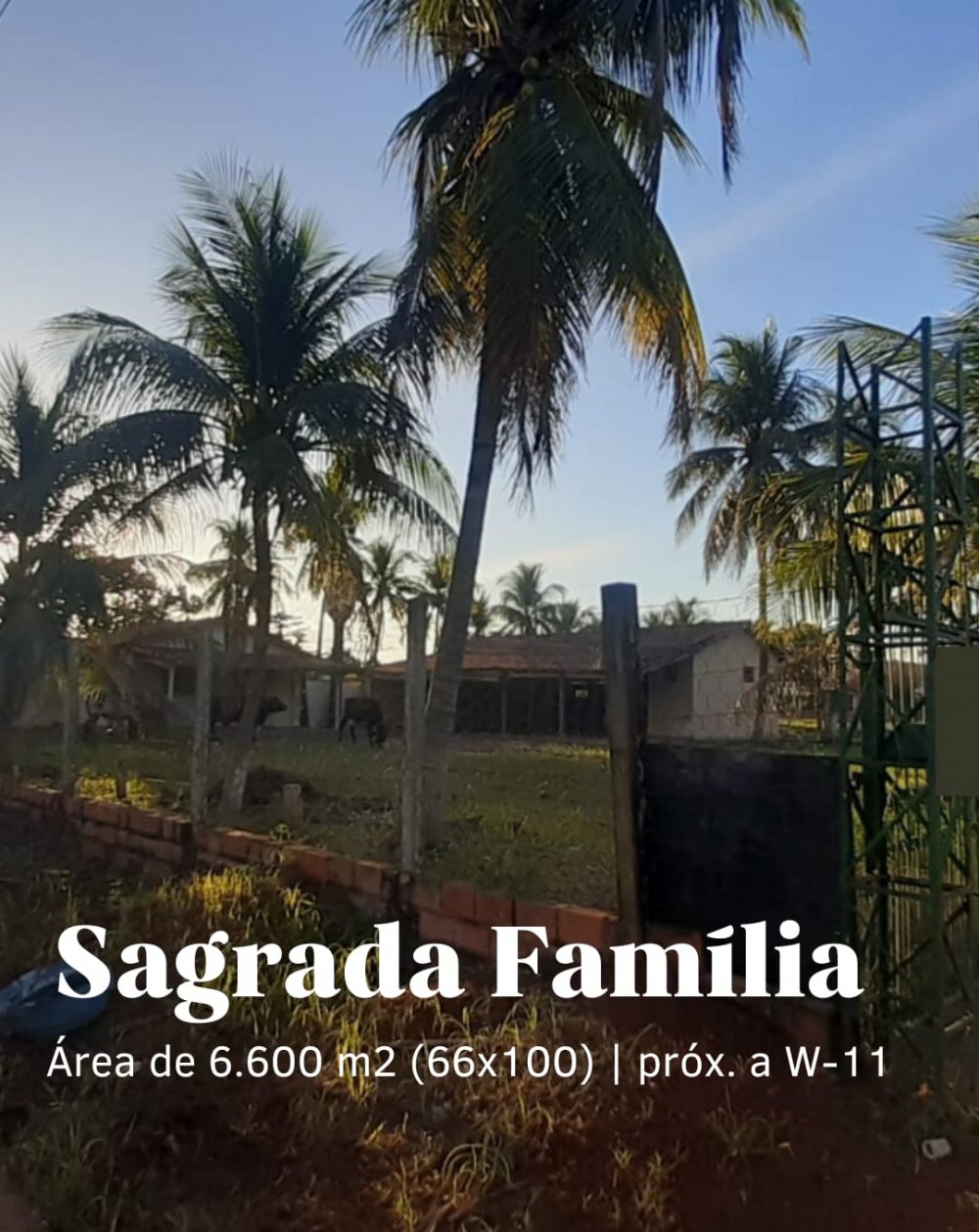 Terreno - Venda - Sagrada Famlia - Rondonpolis - MT